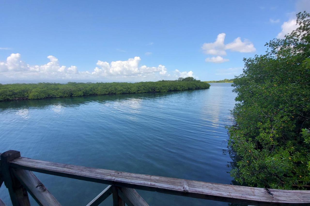 The Sunsetter Bed & Breakfast Bocas Town Luaran gambar
