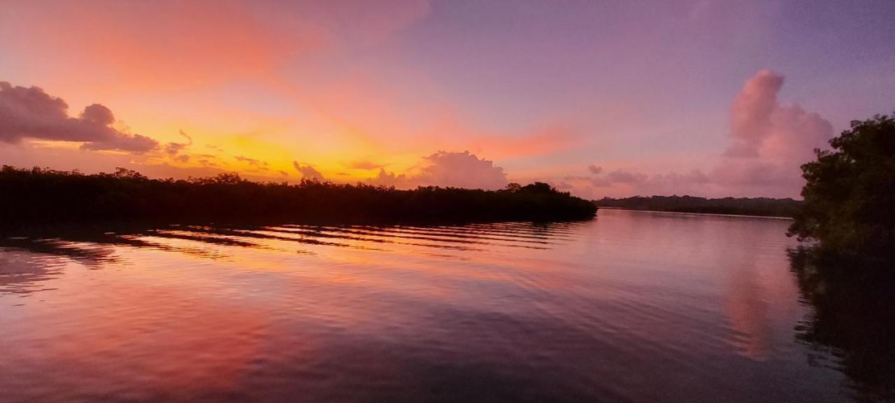 The Sunsetter Bed & Breakfast Bocas Town Luaran gambar