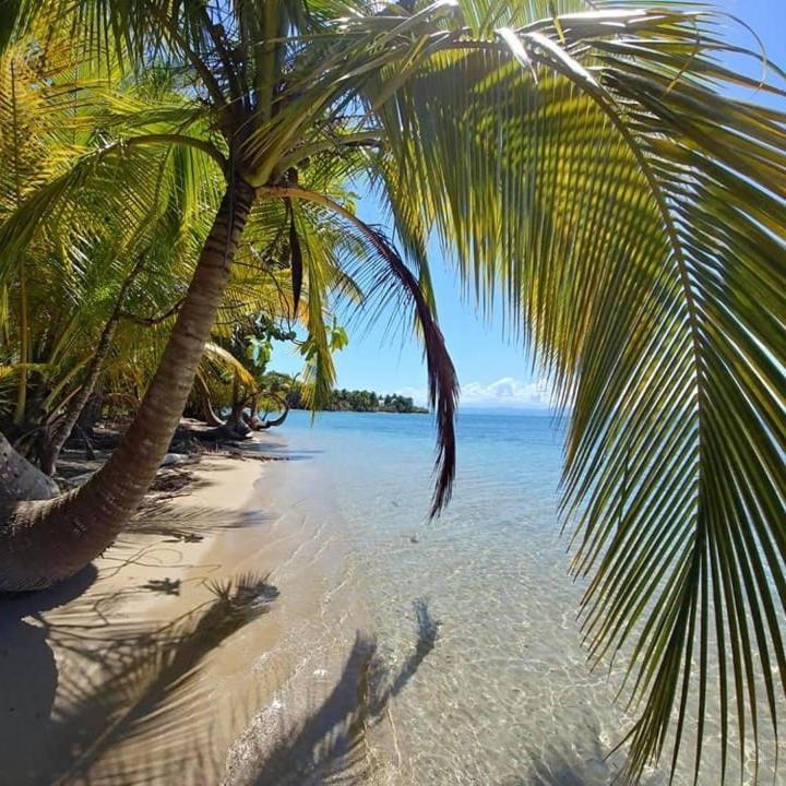 The Sunsetter Bed & Breakfast Bocas Town Luaran gambar