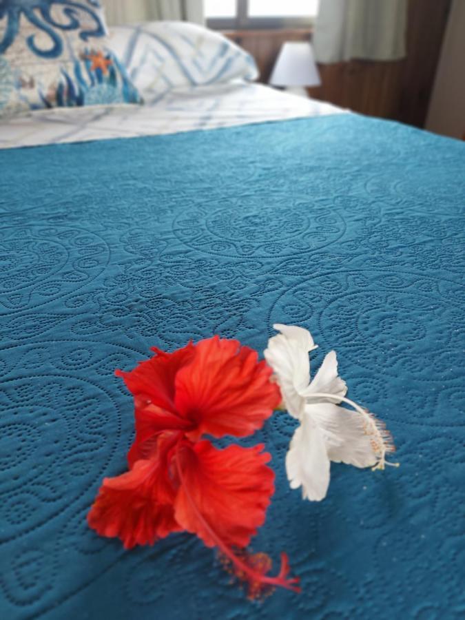 The Sunsetter Bed & Breakfast Bocas Town Luaran gambar