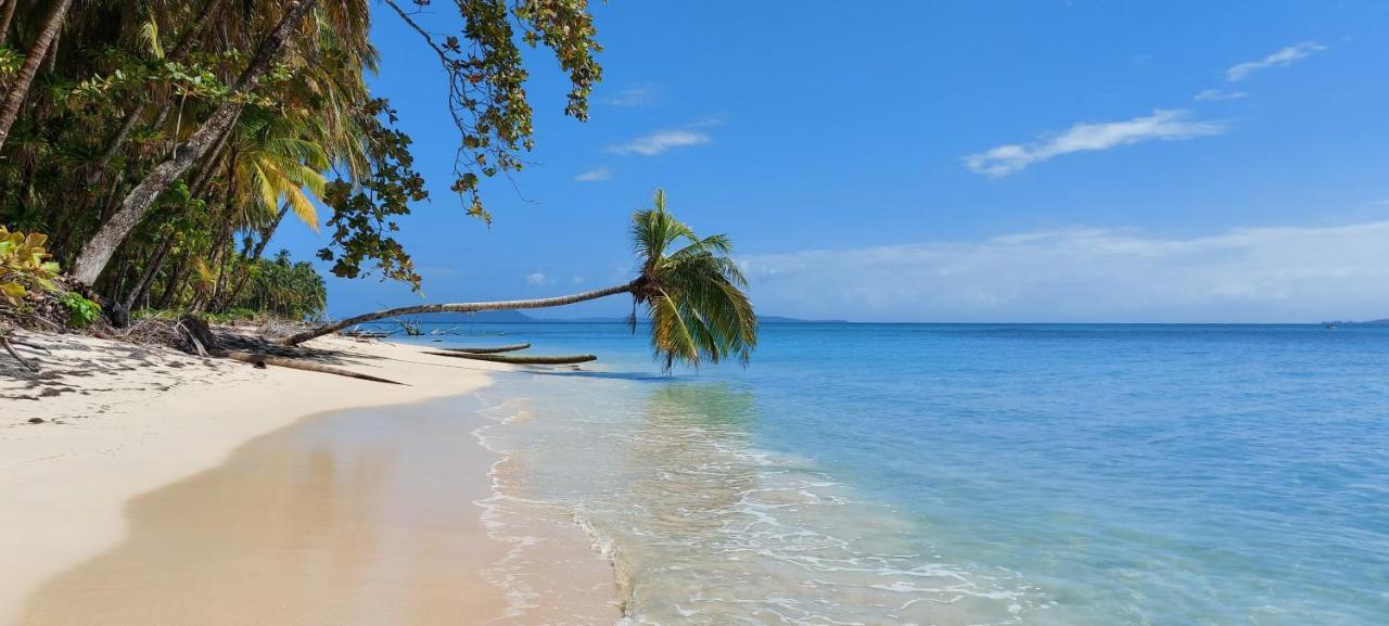 The Sunsetter Bed & Breakfast Bocas Town Luaran gambar