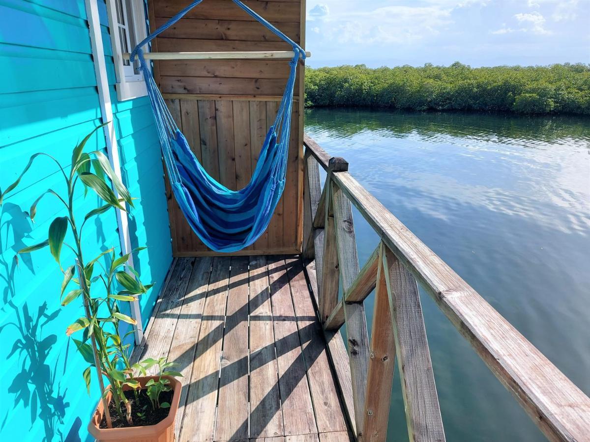 The Sunsetter Bed & Breakfast Bocas Town Luaran gambar