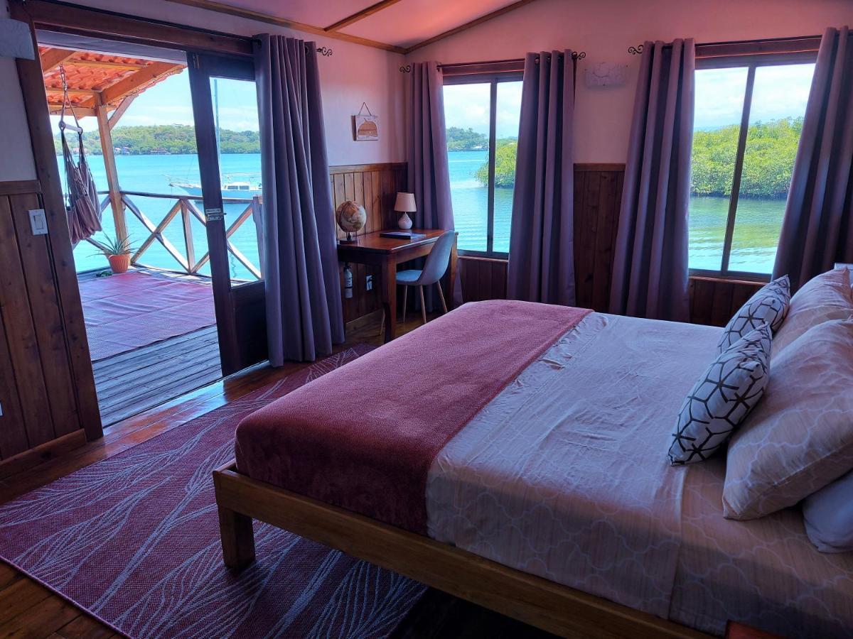 The Sunsetter Bed & Breakfast Bocas Town Luaran gambar