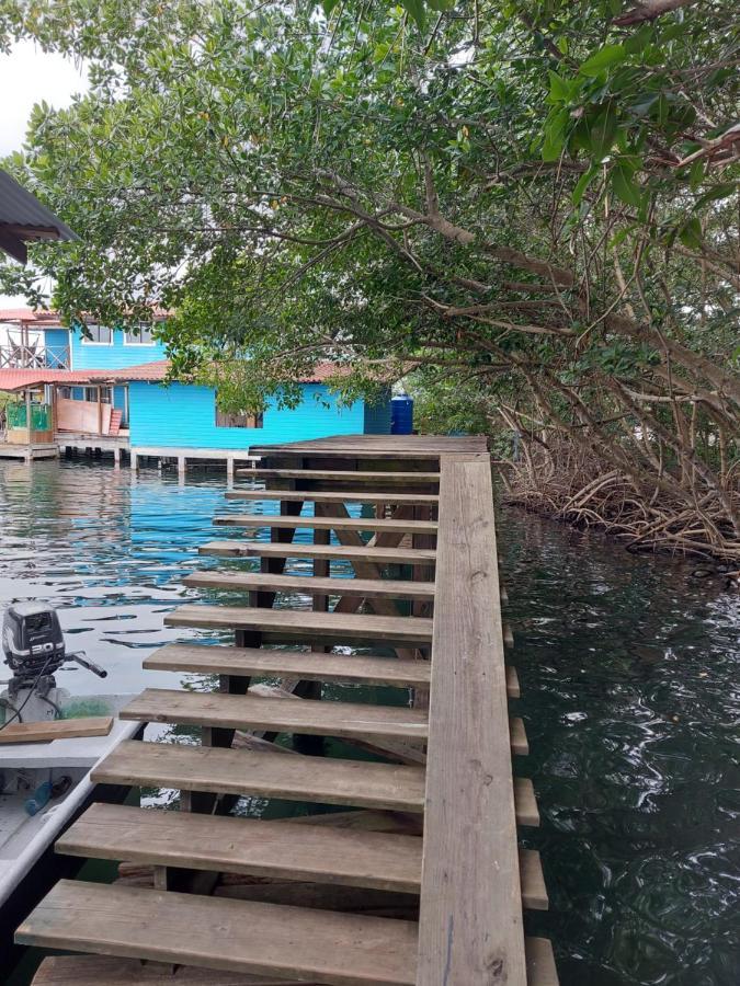 The Sunsetter Bed & Breakfast Bocas Town Luaran gambar