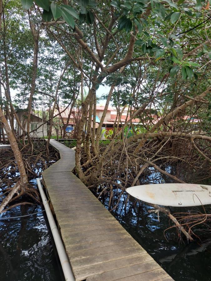 The Sunsetter Bed & Breakfast Bocas Town Luaran gambar